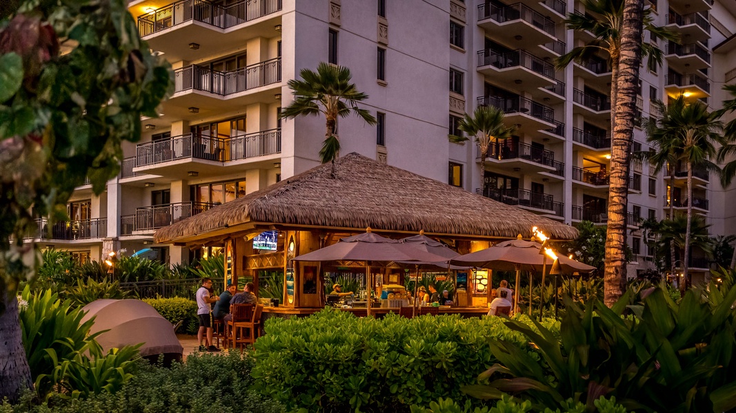 Sip your favorite drink at the beach bar by the sea.