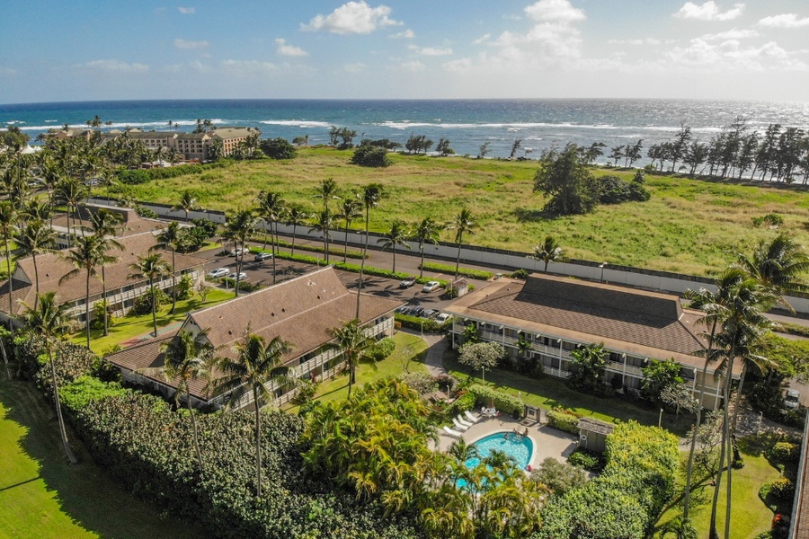 The community area surrounded by tropical trees.