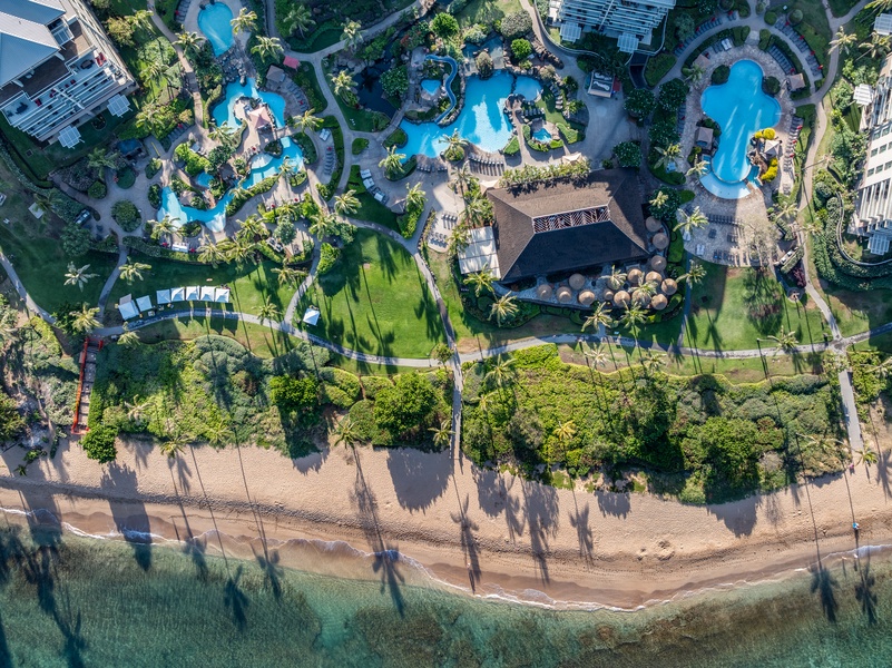 Lounge poolside beneath palms, just a short stroll from Honua Kai Konea 204’s lanai.