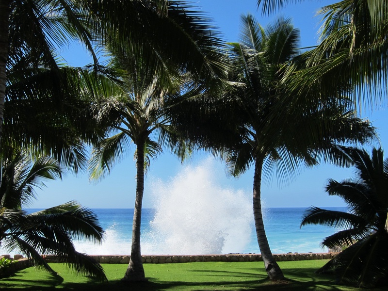 Makaha Hale oceanfront view.