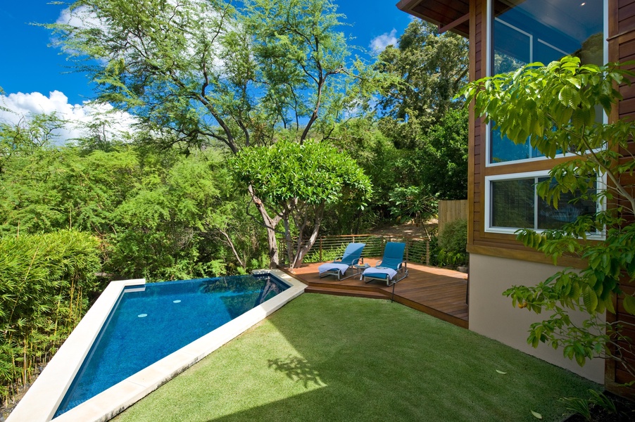 Backyard with heated swimming pool