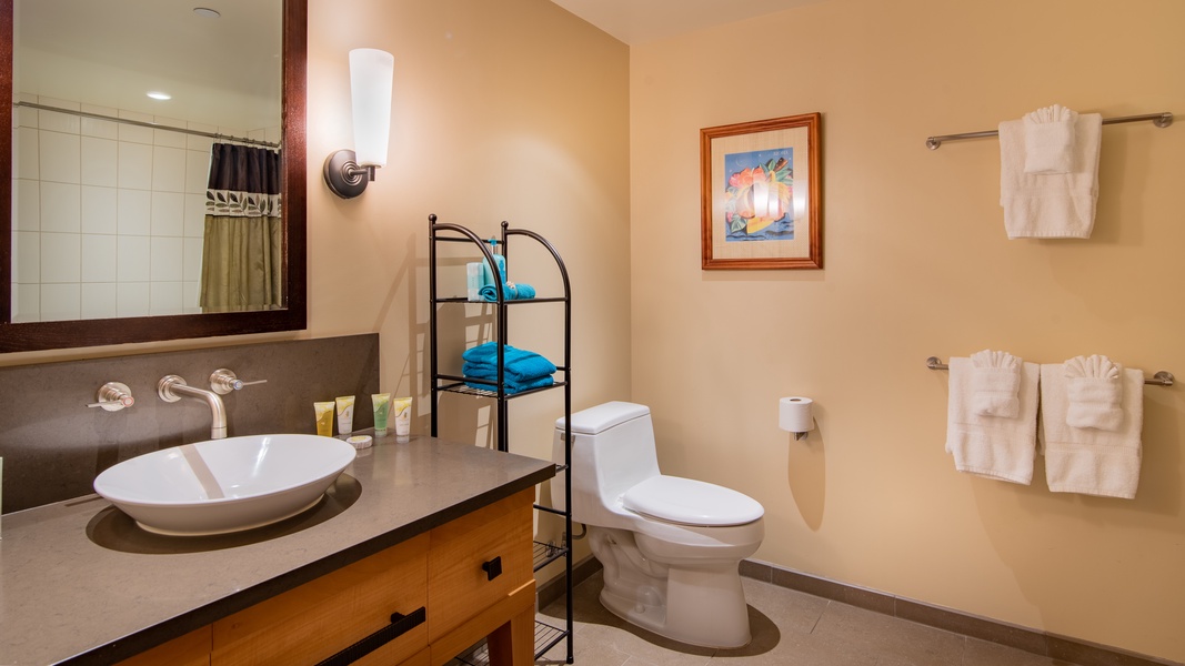 The second guest bathroom with soaking tub and shower.