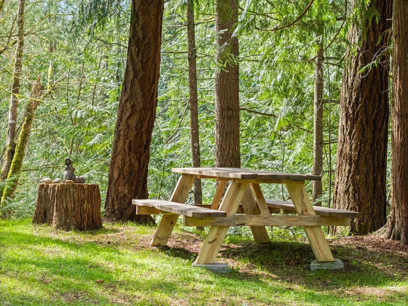 A peaceful picnic table nestled among the pines invites slow mornings, forest lunches, or sunset snacks.