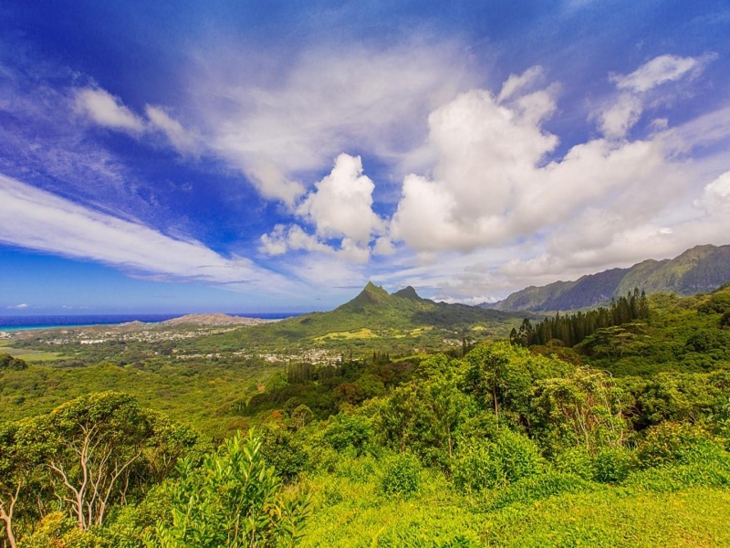 The beautiful windward side of the island!