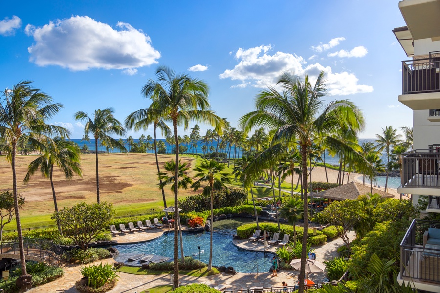 Tropical resort setting with palm trees, pool, and oceanfront location under clear blue skies.