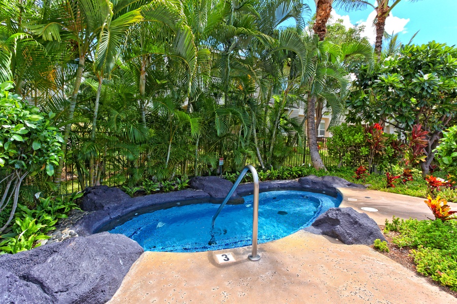 Outdoor hot tub with a handlebar, and palm trees in the background.