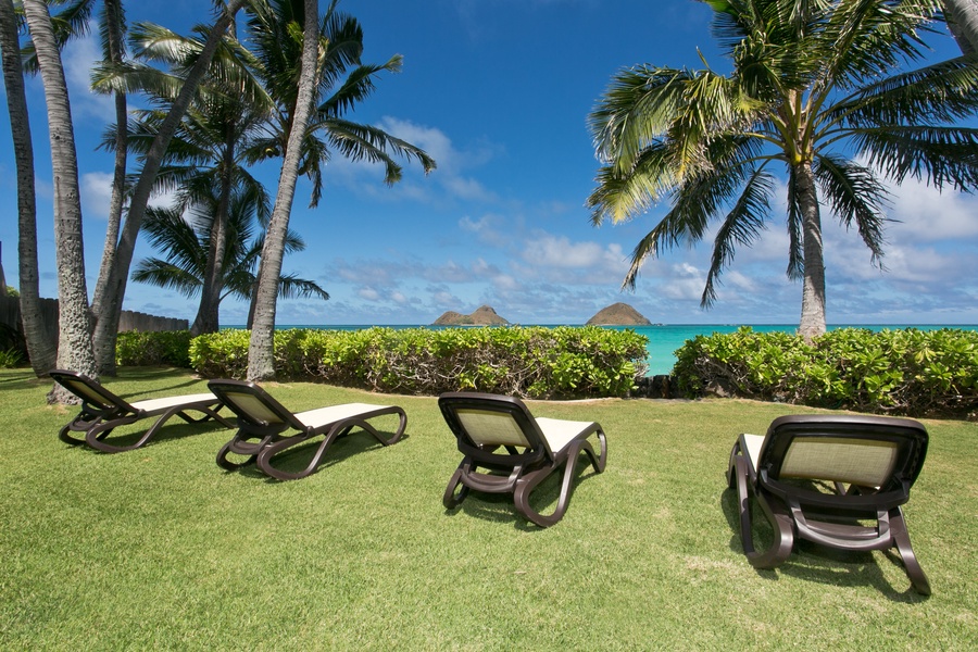 Unwind on our yard's sun loungers and feel the tropical breeze.