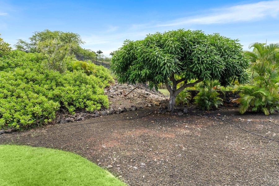 Lush tropical landscaping for a serene backyard feel.
