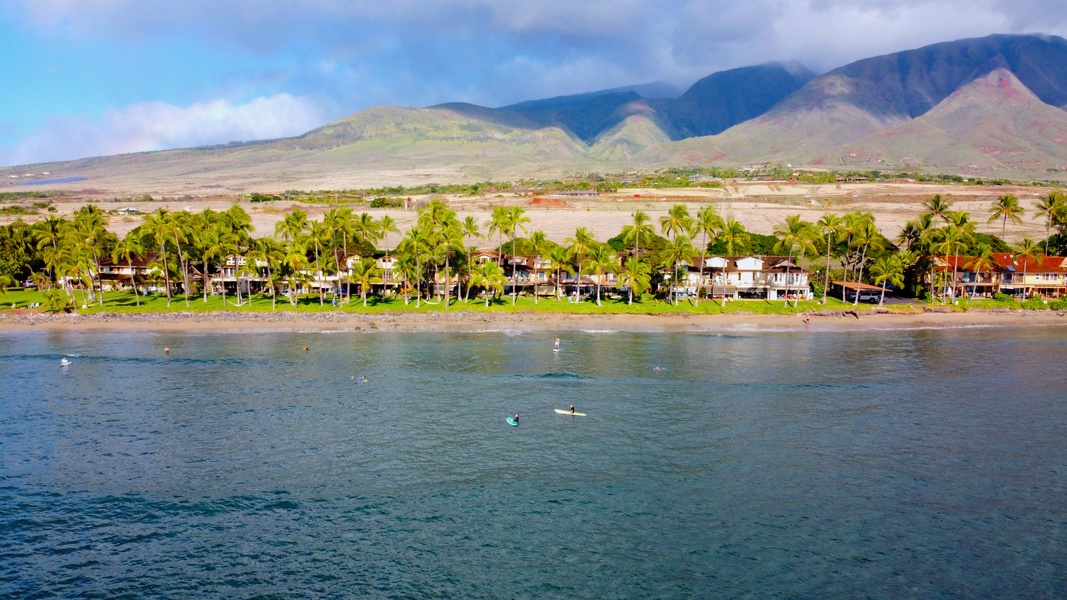 Experience the crystal-clear waters of Maui from a unique perspective, capturing nature's vibrant beauty.