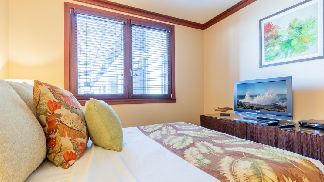 The second guest room with sun dappled views and TV.