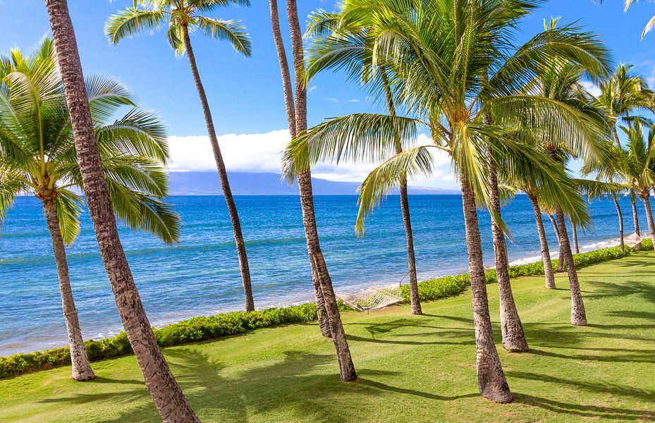 Bask in breathtaking ocean views framed by swaying palm trees and lush green lawns.