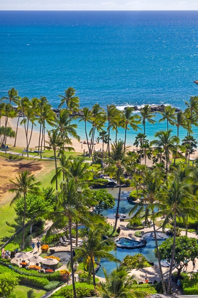 The view of the palms lining up on the shore.