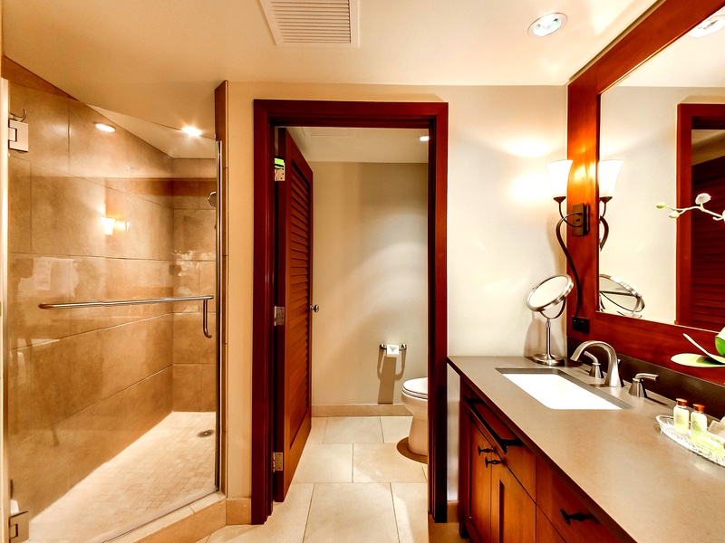 The primary guest bathroom with a walk-in shower.