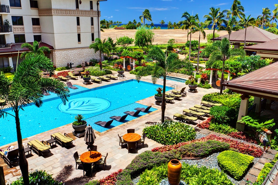 The heated lap pool under palm trees and blue skies.