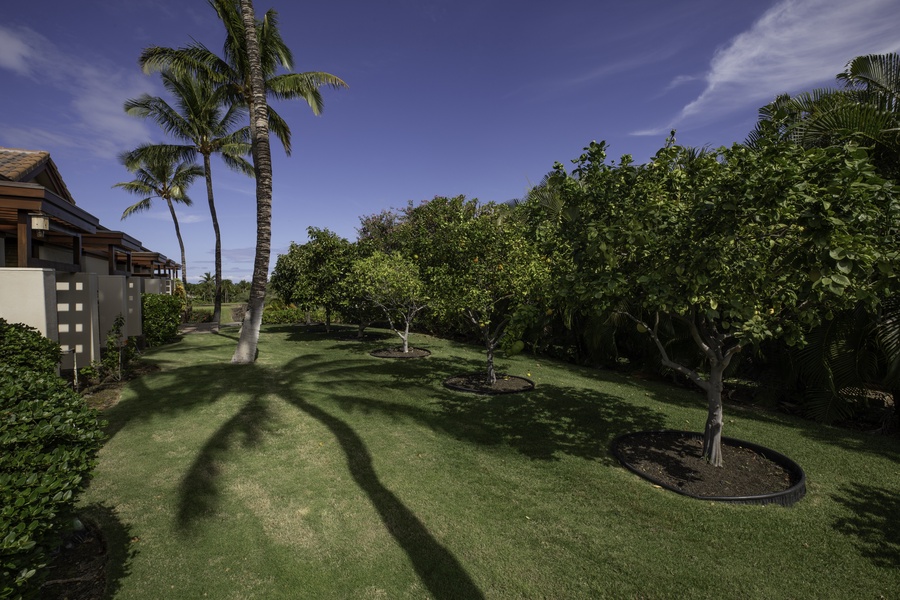 Tropical paradise with manicured lawns, swaying palms, and lush gardens surrounding the property building.