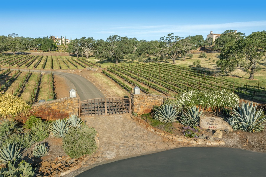 The double-gated entrance and private road provide the utmost sense of privacy and seclusion while its beautiful landscaping and olive grove create a tranquil setting for guests to unwind and enjoy the natural beauty of the area