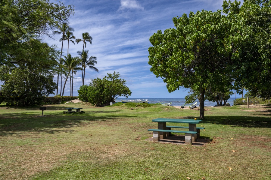 Park setting with picnic tables beneath swaying palms and ocean views in the distance.