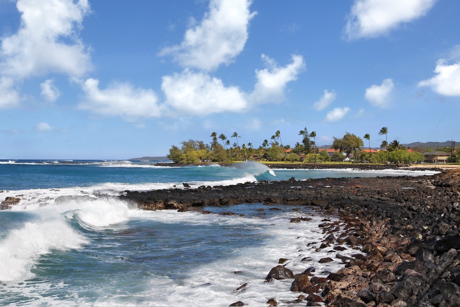 Brennecke's beach at Poipu is a great place to explore.