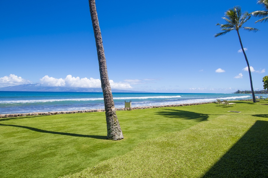 Step right outside to a serene oceanfront view, where the blue waves meet the lush green lawn