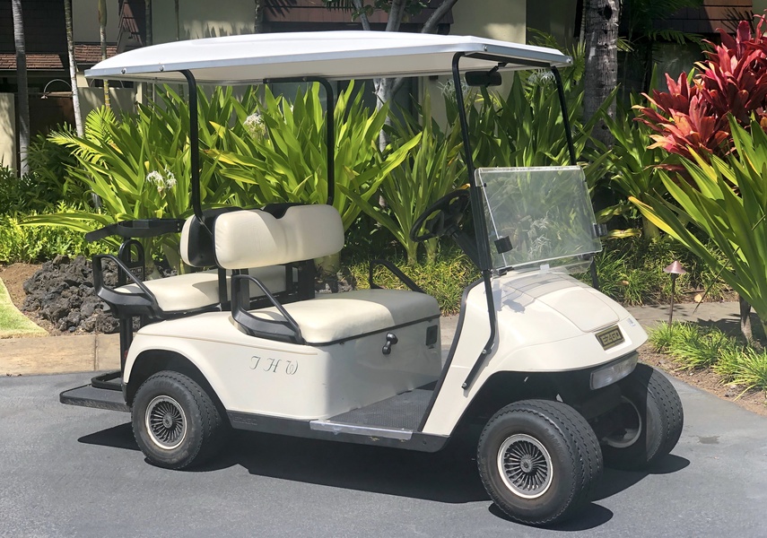This rental comes with one golf cart!