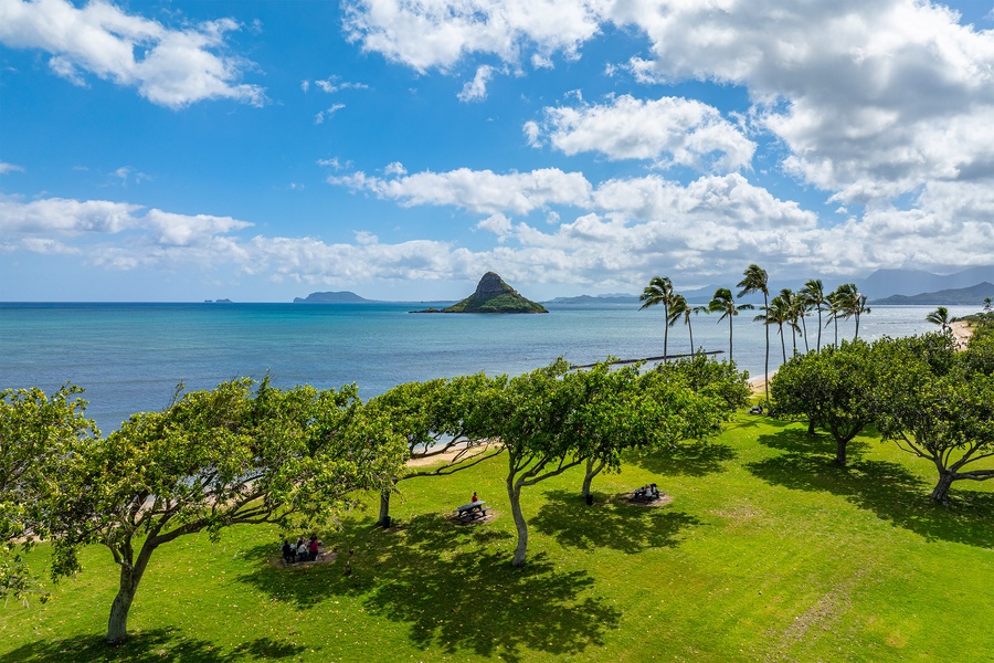 Welcome to Kualoa Regional Park!