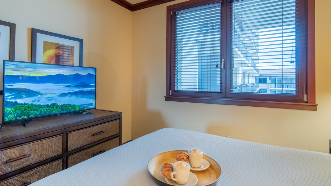Stay in the cozy second guest bedroom and watch your favorite shows.