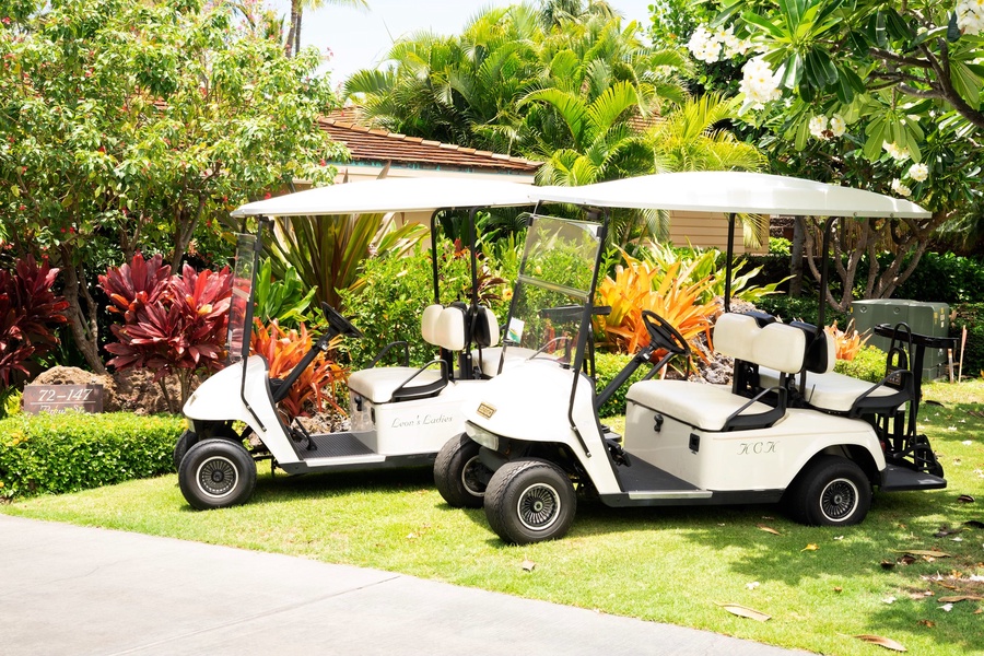 This rental comes with two 4-seater golf carts.