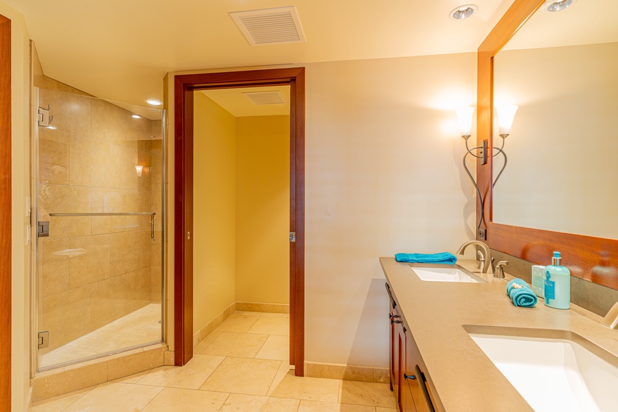 The primary guest bathroom walk-in shower.