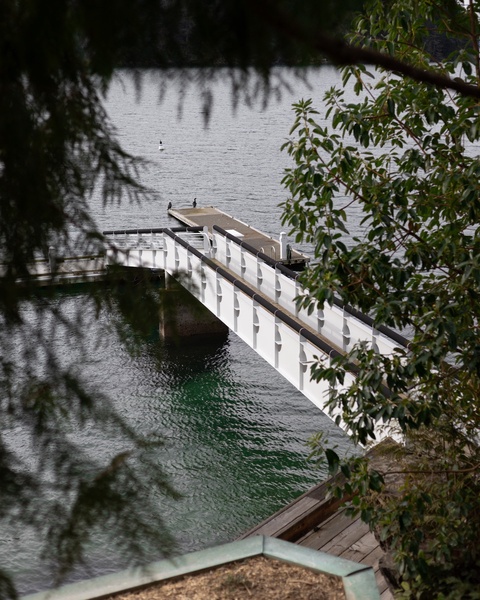 A peaceful lake view framed by lush greenery, featuring a private dock extending into crystal-clear waters where birds peacefully float.