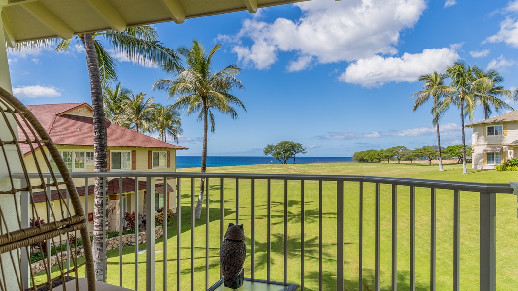 A panoramic view from the lanai.