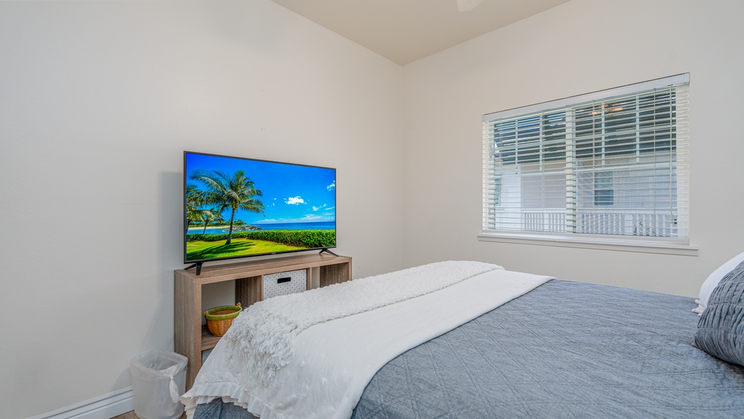 A large TV in the second guest bedroom.