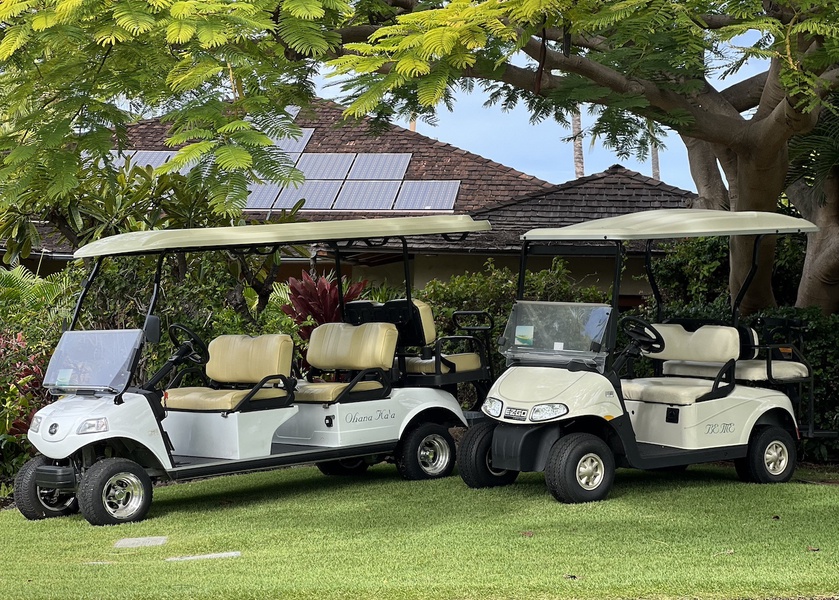 The estate offers one 6-seater golf cart & one 4-seater golf cart!