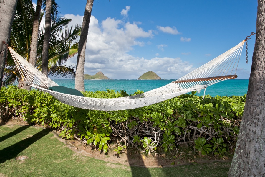 Swing into relaxation with an oceanfront view