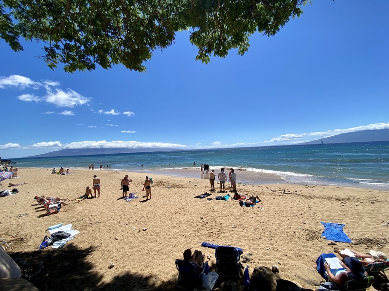 Relax under the shade as you enjoy a sunny day at the beach, with soft sand and clear blue waters stretching out before you.