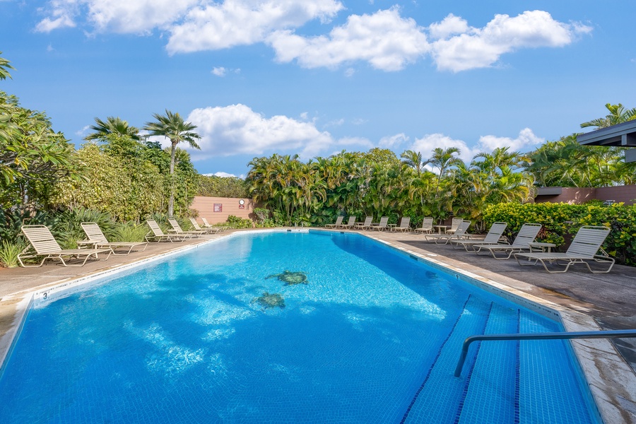 Enjoy a dip in the pool at Kapalua Ridge 2321.
