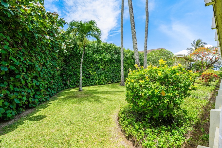 Lush green tropical plants will make your stay more relaxing.