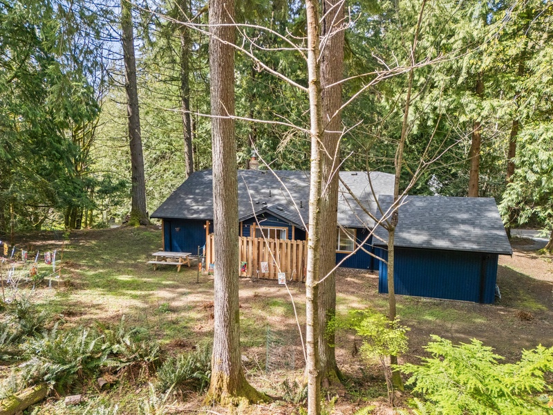 Nestled among towering trees, the cabin offers total privacy and true Pacific Northwest charm.
