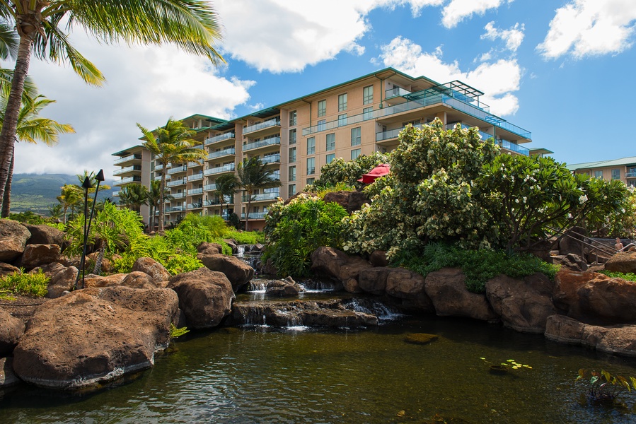 The view of the Koi pond at Honua Kai.