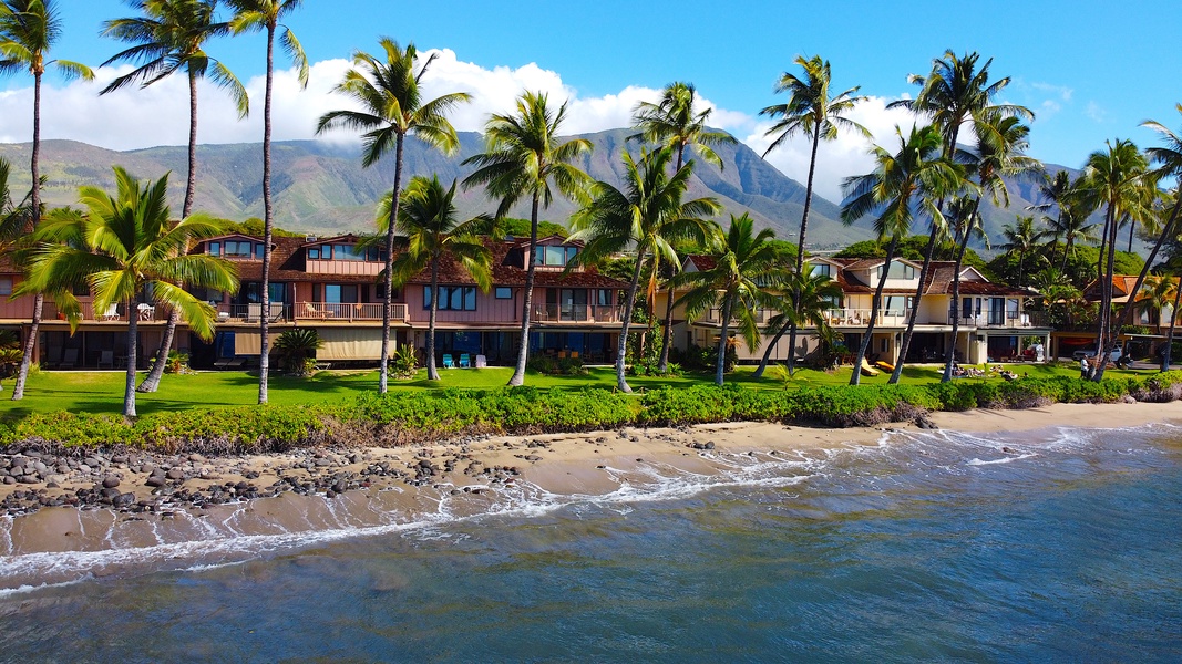 Escape to a tropical oasis with lush greenery and beachfront serenity.