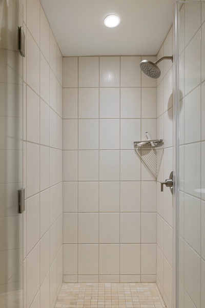 A separate shower for the third guest bathroom.