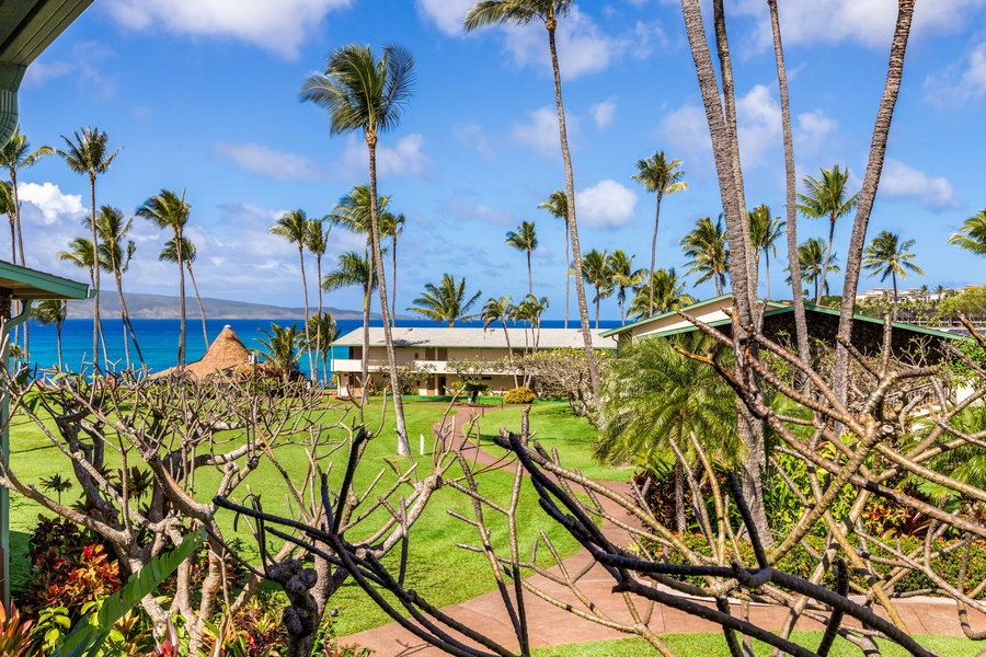 Beautiful partial ocean view from the lanai of F-252-Plumeria trees bloom in the Spring/Summer