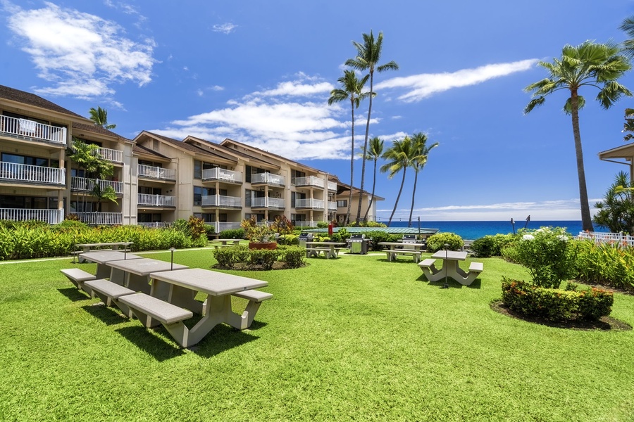 Lush oceanfront lawn with shaded seating invites picnics, reading, or simply soaking up the view.
