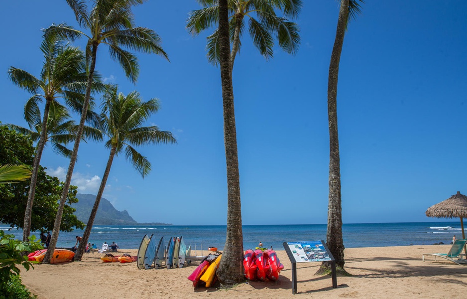 Palm-lined beach with colorful kayaks ready for adventure.