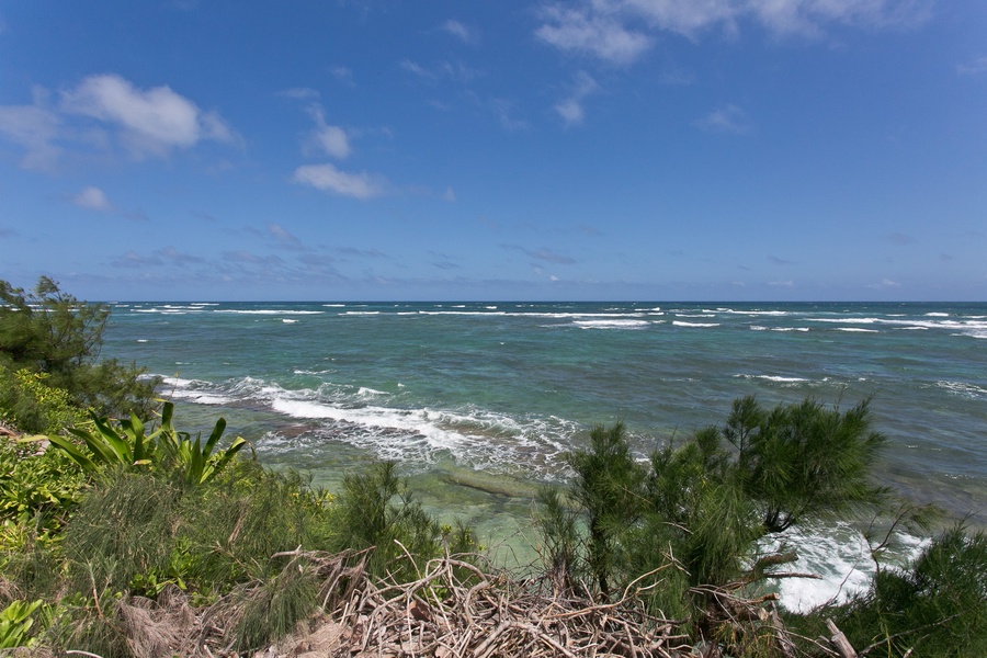 Oceanfront views.