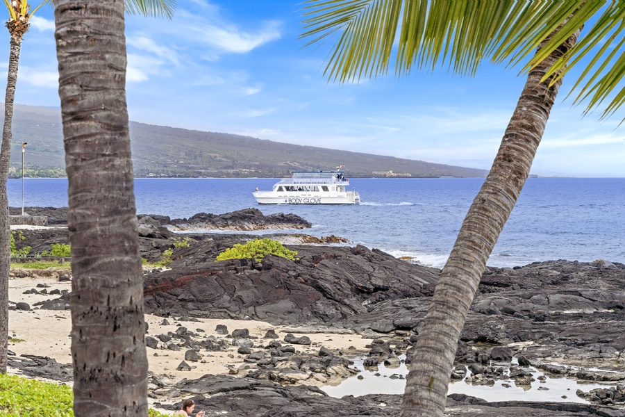 Oceanfront scenery with palm-framed views of Kona’s vibrant coastline and passing catamarans.