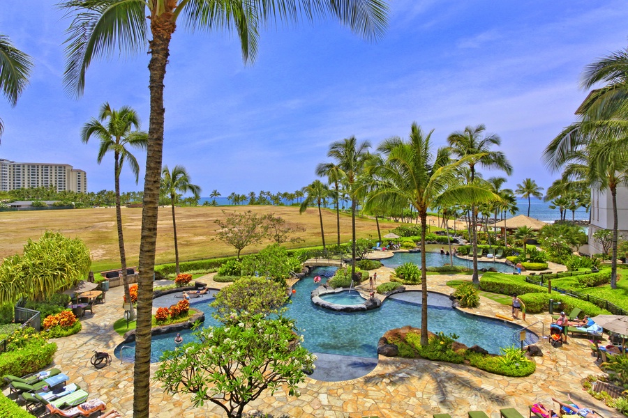 The lagoon pool surrounded by palm trees.