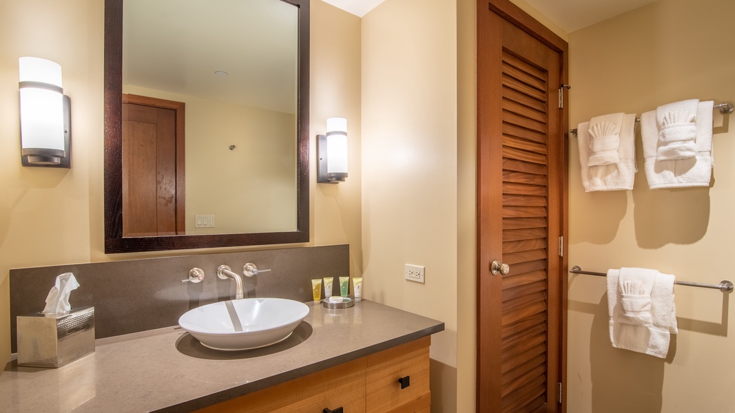 The second guest bathroom with warm wood accents.