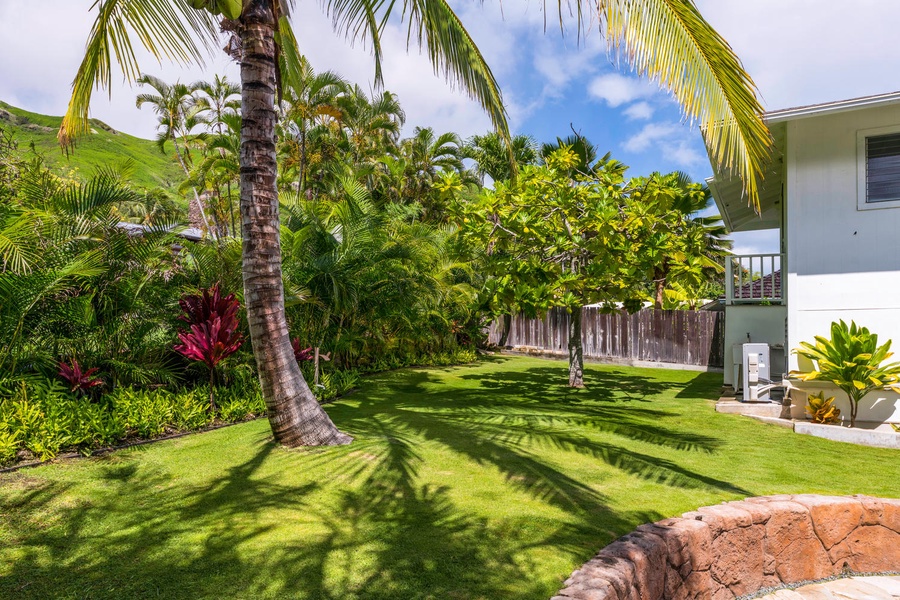Enjoy a spacious backyard with tropical greenery, ideal for outdoor relaxation and fun.