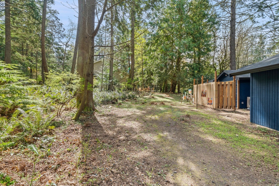 Follow the peaceful wooded path leading to nearby adventures and forest explorations.