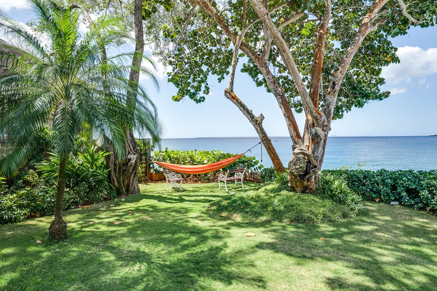 Unwind in the hammock under the trees, overlooking the serene ocean.